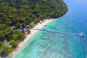 Phuket: Coral & Racha Islands Speedboat Day Trip with Lunch