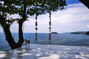 Phuket: Rock Beach Swing inträdesbiljett