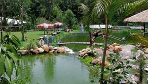 Clube de Esportes e Tênis de Phuket