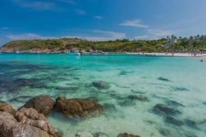 푸켓에서 출발하는 라야와 산호섬