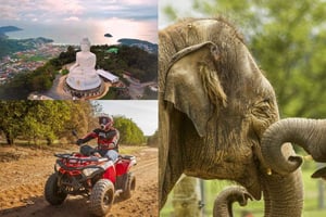 Safari Trails & Off-Road Ventures med Big Buddha