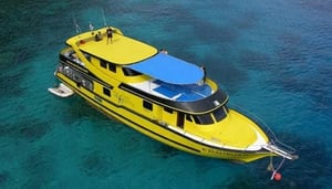 Sea Bees Nurkowanie Phuket