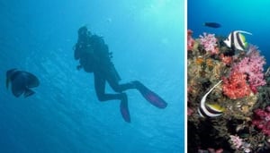 SUB AQUA Dive Center