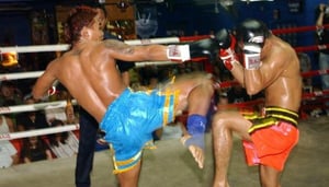 Tiger Muay Thai & MMA Training Camp
