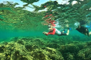 Da Phu Quoc: Tour di un giorno alla scoperta di 4 isole in motoscafo