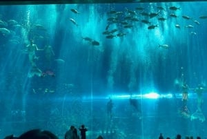 Phu Quoc VinWonders Theme Park And Safari Wildlife Tour