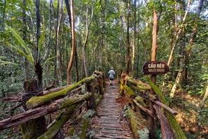 フーコック発：フーコック島北部の1日アドベンチャーシティ