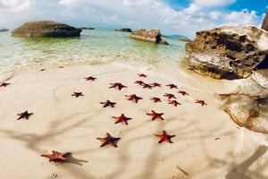 Phu Quoc: Kayak con spiaggia delle stelle marine e tour della fattoria delle api