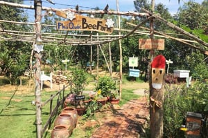 All In One Sai Gon City Dagsutflykt