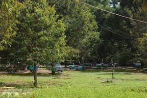 Phu Quoc: dagstur med biegård, kajakk og Grand World