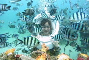 Phu Quoc: Utforska 3 öar och kombinationen Sea Walker Ocean Explore