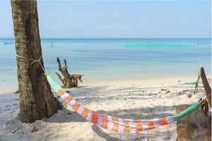 Phu Quoc: kajakkpadling på elven, snorkling på skilpaddeøya og grilling