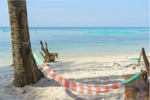 Phú Quốc : kayak sur la rivière, snorkeling et barbecue