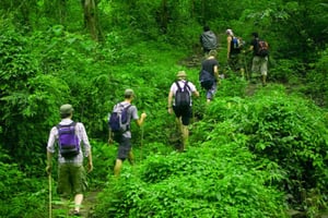 Phu Quoc: National Park Trek with Lunch and Hotel Pickup