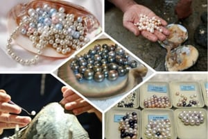 Phu Quoc Zuidereilandtour – Lunch en winkelen zonder druk