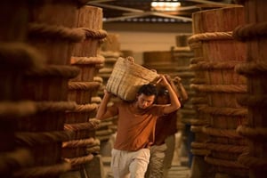 Phu Quoc: South Island Tour with Sao Beach Lunch