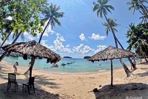 Phu Quoc: Rento snorklaus: 4 saarta ja grilliateria auringonlaskun aikaan – enintään 12