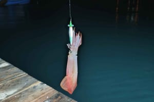 Phu Quoc: Bläckfiskfisketur med utsikt över solnedgången och middag