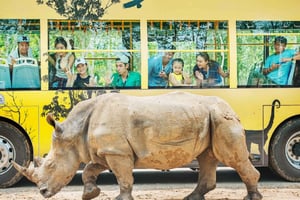 Phu Quoc: Vinpearl Safari Park Entry Ticket