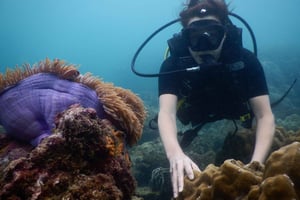 [Red River Tours] Plongée sous-marine professionnelle de luxe