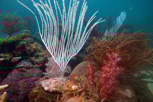 Red River Tours - Tour a piedi in mare a Phu Quoc