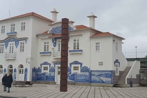 Privat tur till Aveiro och Coimbra från Porto