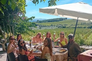 ドウロ渓谷：2つのワイナリー訪問、ランチ、川クルーズ付き