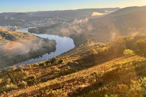 Duoron laakson viinikierros ja maistiaiset