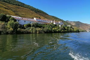 Tagestour zum Weingut im Douro-Tal mit Flusskreuzfahrt