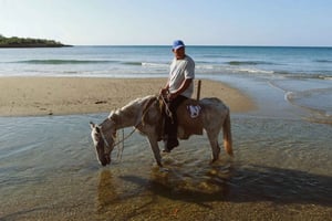 From Porto: Beach Horseback Ride + Brunch + Pickup