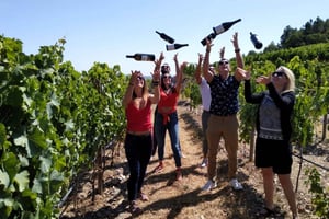 Saindo do Porto: Passeio do Douro com provas, barco e almoço