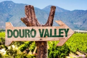 Da Valle del Douro con tour in barca, degustazione di vini e pranzo