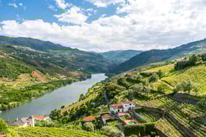 From Porto: Full-Day Douro Historical Tour