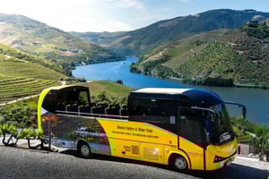 Desde Oporto: Tour de un día completo por el Valle del Duero y el Vino, con almuerzo
