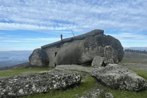 Fra Porto: Heldagstur med natur og vinsmagning