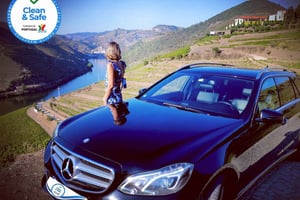 Fra Porto: Privat tur i Douro-dalen med krydstogt og vin
