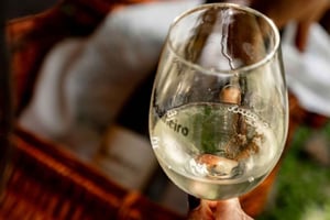 Fra Porto: Privat vin- og grønvinstur med frokost og paladspalæbesøg.