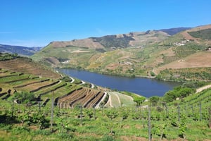 Da Oporto: tour guidato in piccolo gruppo della Valle del Douro e di Gerês