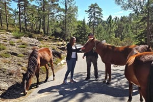 From Porto to Peneda-Gerês National Park