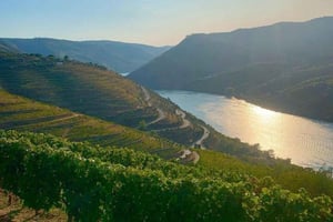 Fra Porto: Valle del Duero heldagstur med privat guide