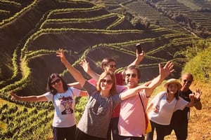 Réguasta: yllätysviiniseikkailu kahdella tilalla ja paikallinen lounas