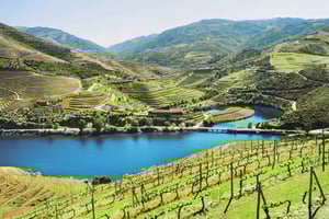 Da Porto: tour enologico nella Valle del Douro con pranzo e crociera fluviale