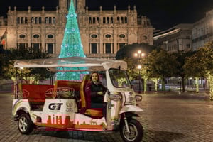 Magical Porto Christmas Lights Night Tour 1:30h
