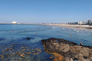Porto: een ritje langs de kust in een leuke milieuvriendelijke auto