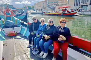 Porto: Halvdagstur i liten grupp till Aveiro