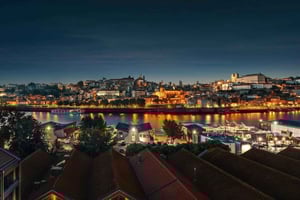 Porto City Tour: Private day tour with tickets included.