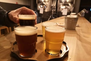 Porto: Craft Beer, Portos hemmeligheder og vinudflugt