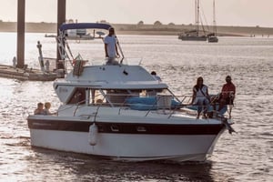 Porto: crociera dei 6 ponti, drink di benvenuto e opzione tramonto