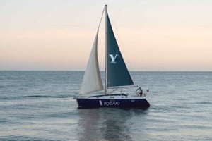 Porto: Douro-joen risteily (2 h) – viiniä ja upeita maisemia