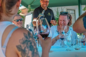 Porto: Tour Privado no Vale do Douro, Degustações, Cruzeiro e Almoço